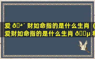 爱 🪴 财如命指的是什么生肖（爱财如命指的是什么生肖 🐵 和动物）